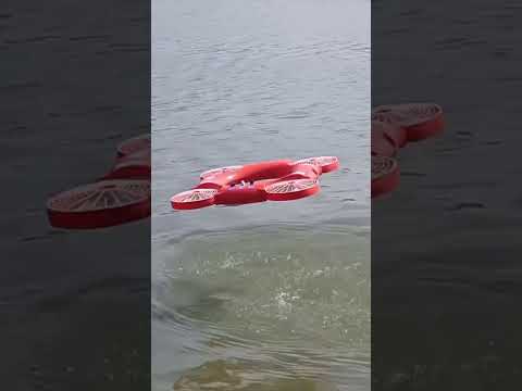 Image Youtube